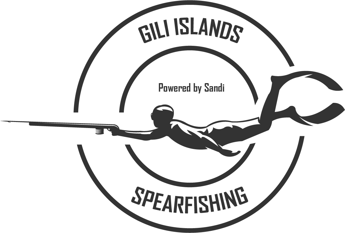 Gili Islands Spearfishing - Gili Air Spearfishing - Gili Meno Spearfishing  - Gili Trawangan Spearfishing